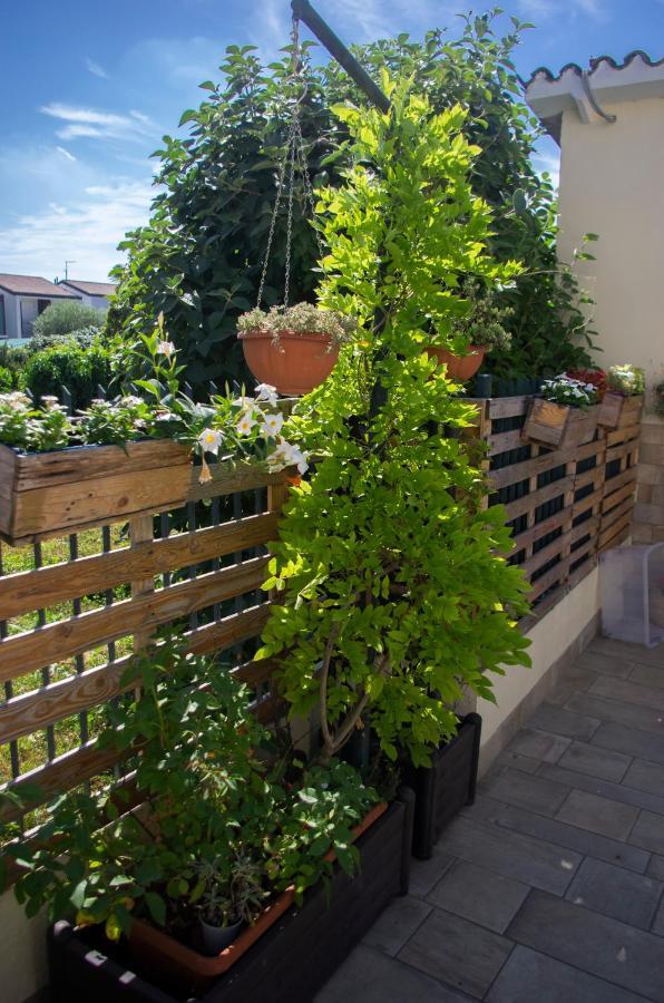 B&B Dai Carari Спинея Экстерьер фото